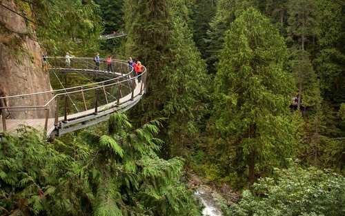 Vancouver City and Capilano Suspension Bridge Park Tour