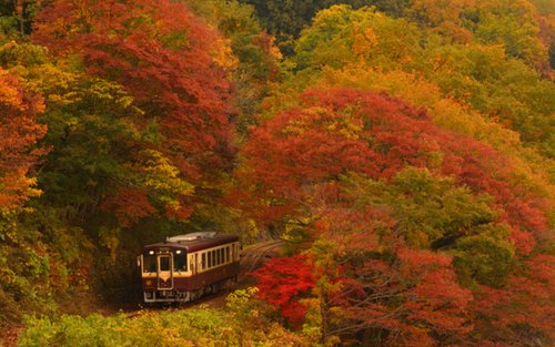 Excursión de un día de otoño a Gunma Watarase Keikoku y la garganta de Takatsudo