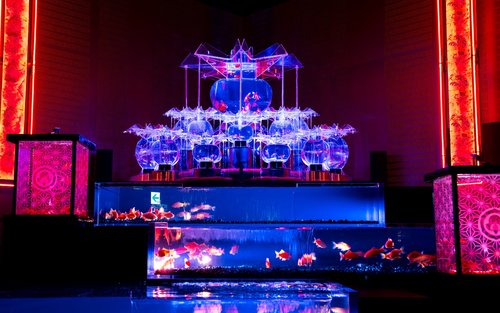 名古屋（Nagoya）アートアクアリウム美術館