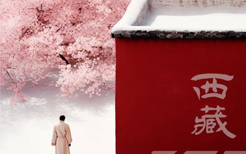 【春季限定】西藏林芝桃花摄影全景7日（雅鲁藏布江大峡谷+南迦巴瓦+索松村+然乌湖+来古冰川+巴松措+羊卓雍措+纳木错+2-6人摄影小团）