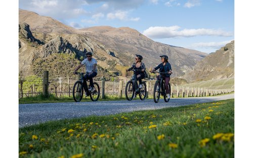 ΠΕΡΙΗΓΗΣΗ ΣΕ ΟΙΝΟΠΟΙΕΙΟ GIBBSTON VALLEY ΜΕ ΗΛΕΚΤΡΙΚΟ ΠΟΔΗΛΑΤΟ