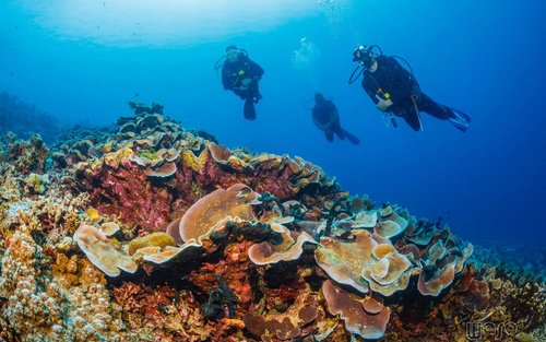 Paket Diving Lanjutan