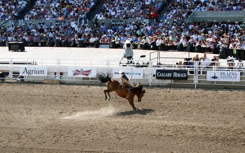 Calgary Stampede Rodeo at GMC Stadium