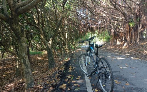 花莲滨海自行车道半日游