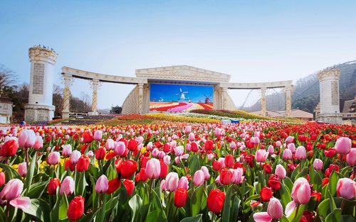 EXCURSÃO DE 2 DIAS PARA EVERLAND E LOTTE WORLD