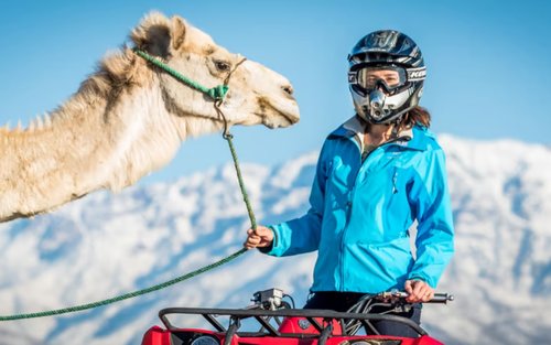 Agafay Desert Sunset Camel Ride & Dinner Experience