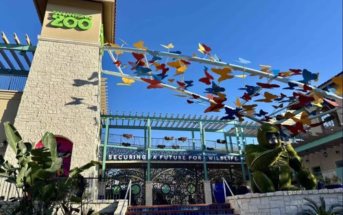 San Antonio Zoo Ticket