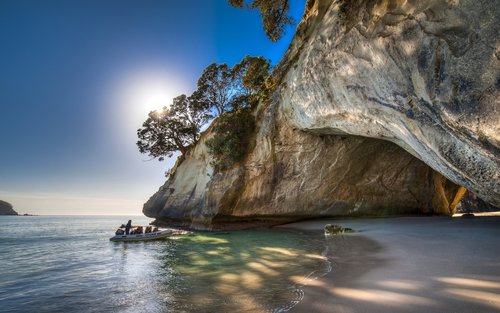 Coromandel Coastal Experience Small Group Tour