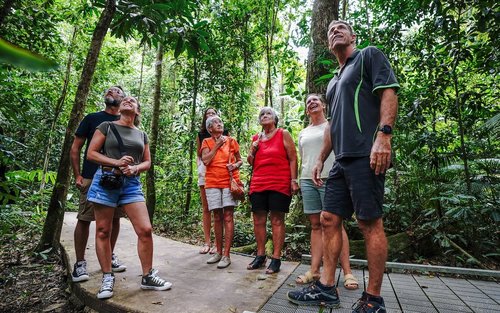 Trải nghiệm Daintree trọn vẹn
