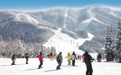 Top 10 Tochigi Skiing & snowboarding 2026 - Klook