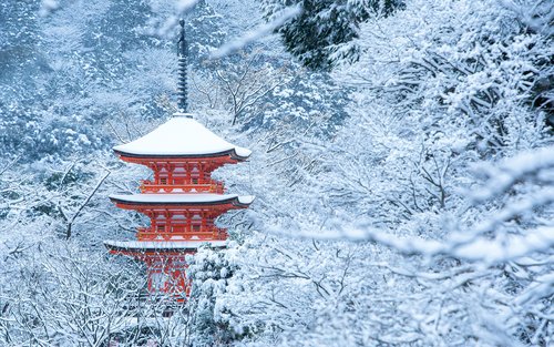 Best of Kyoto & Nara: Kiyomizudera, Nara Park, Todaiji & Much More