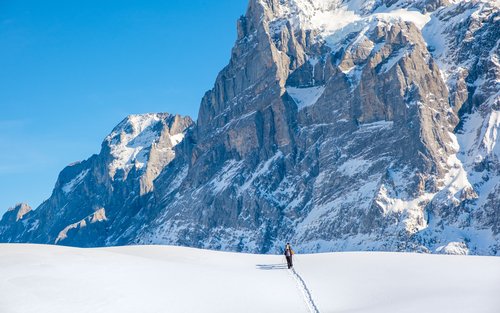 Snowshoe Tour Wetterhorn Grindelwald from Interlaken