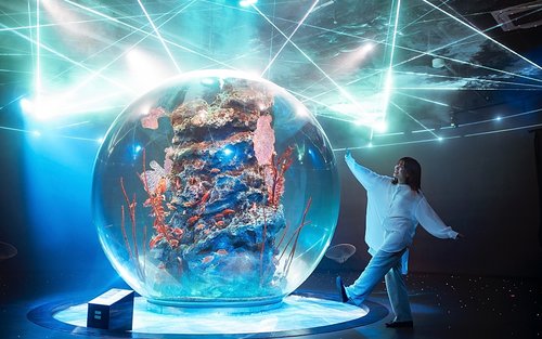 Kobe Urban Aquarium AQUARIUM ART atoa Admission Ticket