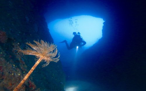 Cala Gonone's Hidden Treasures: Full-Day Dive Trip with PADI Center