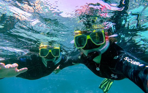 South Goa: Snorkelling
