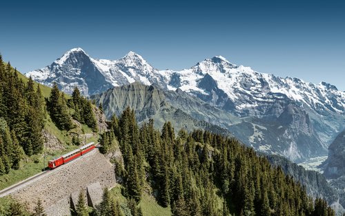 Schynige Platte - Top of Swiss Tradition Cogwheel Train Ticket 