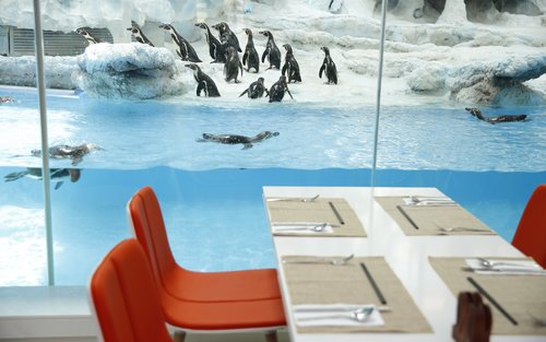 チャイムロングペンギンホテル ビュッフェ（珠海）