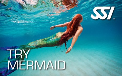 คอร์สเรียนนางเงือก SSI Try Mermaid