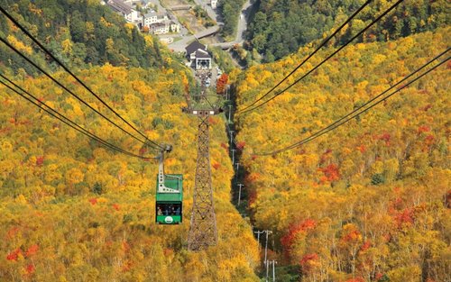 SkyExpress: Autumn Sounkyo Customized Private Day Tour (11 Hours)