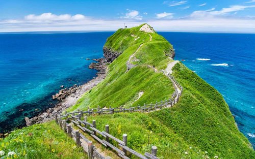 Ganztägige Tour: Otaru, Nikka Whisky & Shakotan Blue