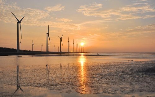 台中高美湿地＆中社花市＆春水堂＆台中オペラハウス＆逢甲夜市 日帰りツアー（台中発）