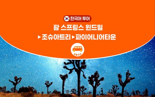 [한국어 가이드] LA 조슈아트리 일일투어 (식사제공)