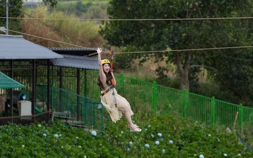 Thien Minh Dalat Adventure Pass: Zipline, ATV, Xích Đu Khổng Lồ & Bungee
