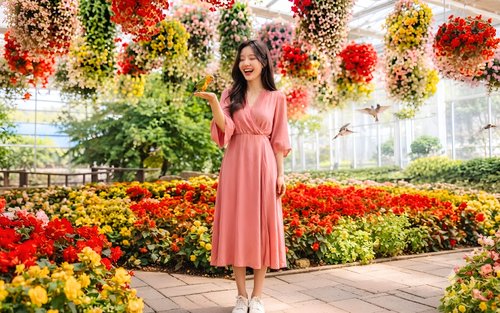 베고니아 새 정원/ 남이섬/ 레일 바이크/ 아침고요수목원/ 쁘띠프랑스