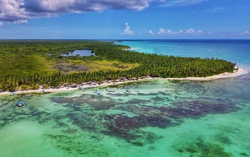 Full-Day Cruise of Isla Saona from Punta Cana with Lunch