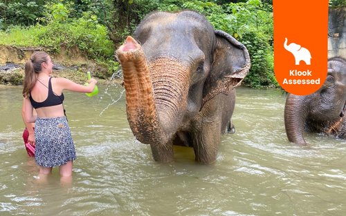 甲米大象保護區半日遊體驗