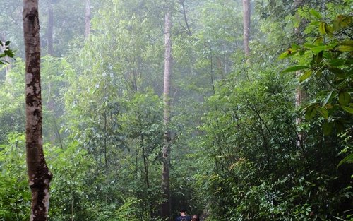 Chiang Mai Half-Day Doi Suthep Hiking Tour