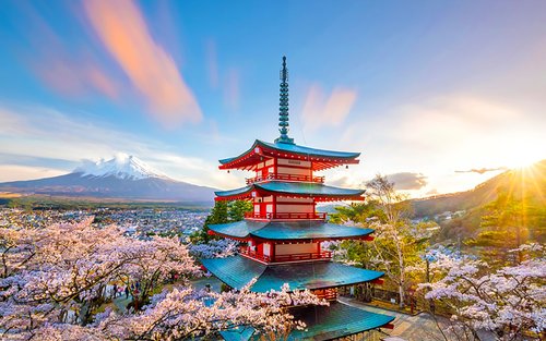 【富士山箱根河口湖赏花赏枫叶】大涌谷&罗森便利店&新仓山浅间公园&河口湖大石公园一日游 (东京出发)