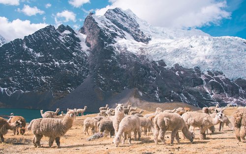Ausangate Trek 3 days