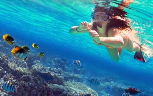 Coral Island Snorkelling Experience in Trincomalee