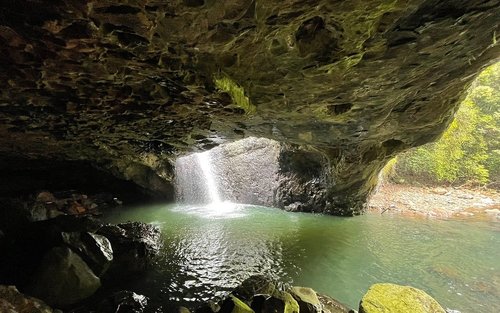 從布里斯班出發，前往天然橋、坦伯林山觀賞螢火蟲和熱帶雨林