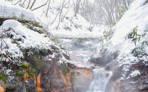 [한국인 투어 & 리뷰 이벤트] [간식제공] 북해도 노보리베츠 온천 모아이 도야호 삿포로 버스투어 와쿠와쿠2호선