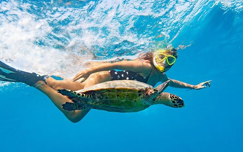 Best Oahu Circle Island Tour with Snorkeling and Free Perks