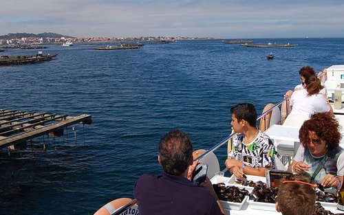 Rias Baixas winery tour with optional boat trip from Santiago