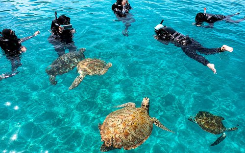 Snorkeling Day Trip Tour in Pulau Redang, Kuala Terengganu