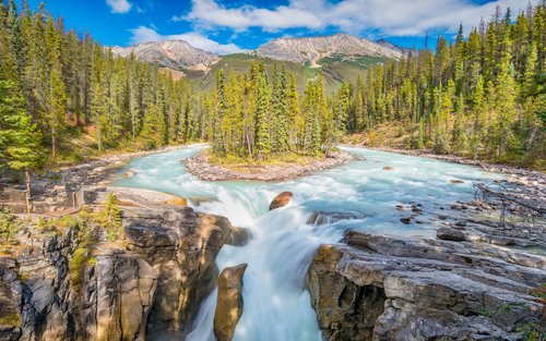 Sunwapta & Athabasca Falls One-Day Small Group Tour
