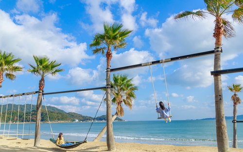 Itoshima | Shiraito Falls & Forest Coffee & Totoro's Forest & Grilled Seafood & Handmade Flower Salt Pudding & Sakurai Futamigaura & Angel's Wings & Coconut Tree Swing Day Tour (Departing from Hakata Station) Cantonese & Mandarin & English Tour Guide