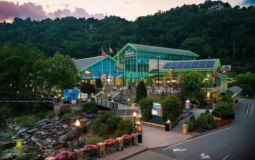 Bilet la Acvariul Ripley's of the Smokies din Galinburg