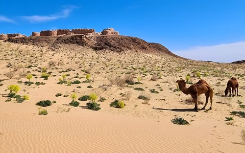 Ayaz kala & Topraq-Kala & Kyzyl-Kala & Akhchakol Lake One-day Historical & Desert Tour