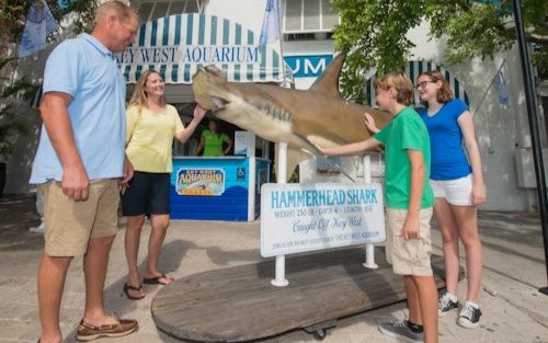 키웨스트 아쿠아리움 입장권