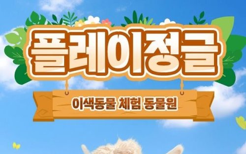 강원 플레이정글 춘천엔타점 입장권