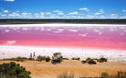Heldagstur til Adelaide Pink Lake & Penfolds Magill Estate (lille gruppe på 12 personer med kinesisk guide) 