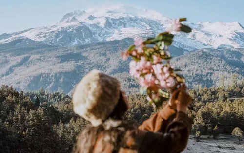 윈난성 비경 샹그릴라 4일 투어