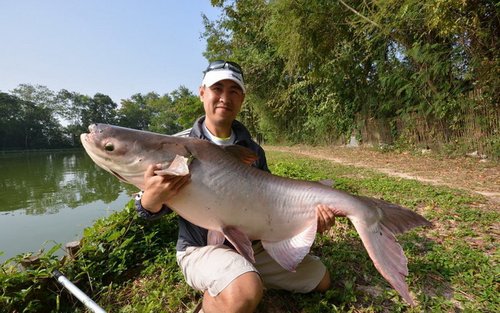 Aventura de Pesca de Altura en Chiang Mai