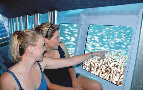 Red Sea Underwater Adventure: Semi-Submarine and Snorkeling