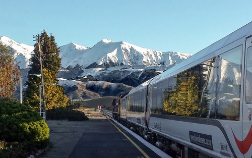 TranzAlpine Train Ticket between Christchurch and Arthur's Pass